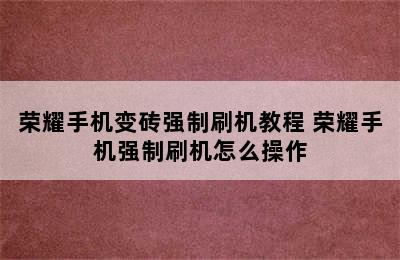 荣耀手机变砖强制刷机教程 荣耀手机强制刷机怎么操作